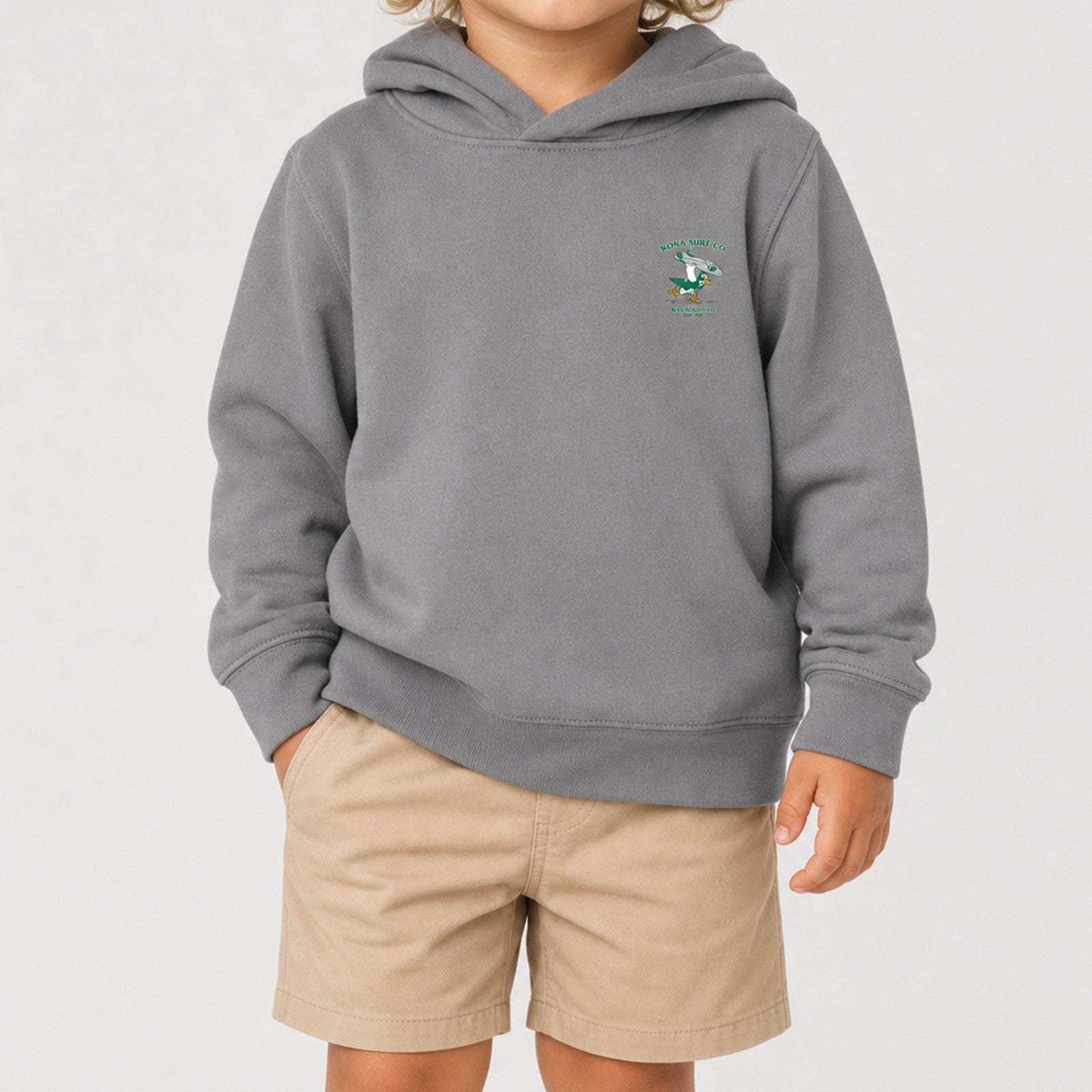 For the Birds Toddler Boys Pullover Hoodie