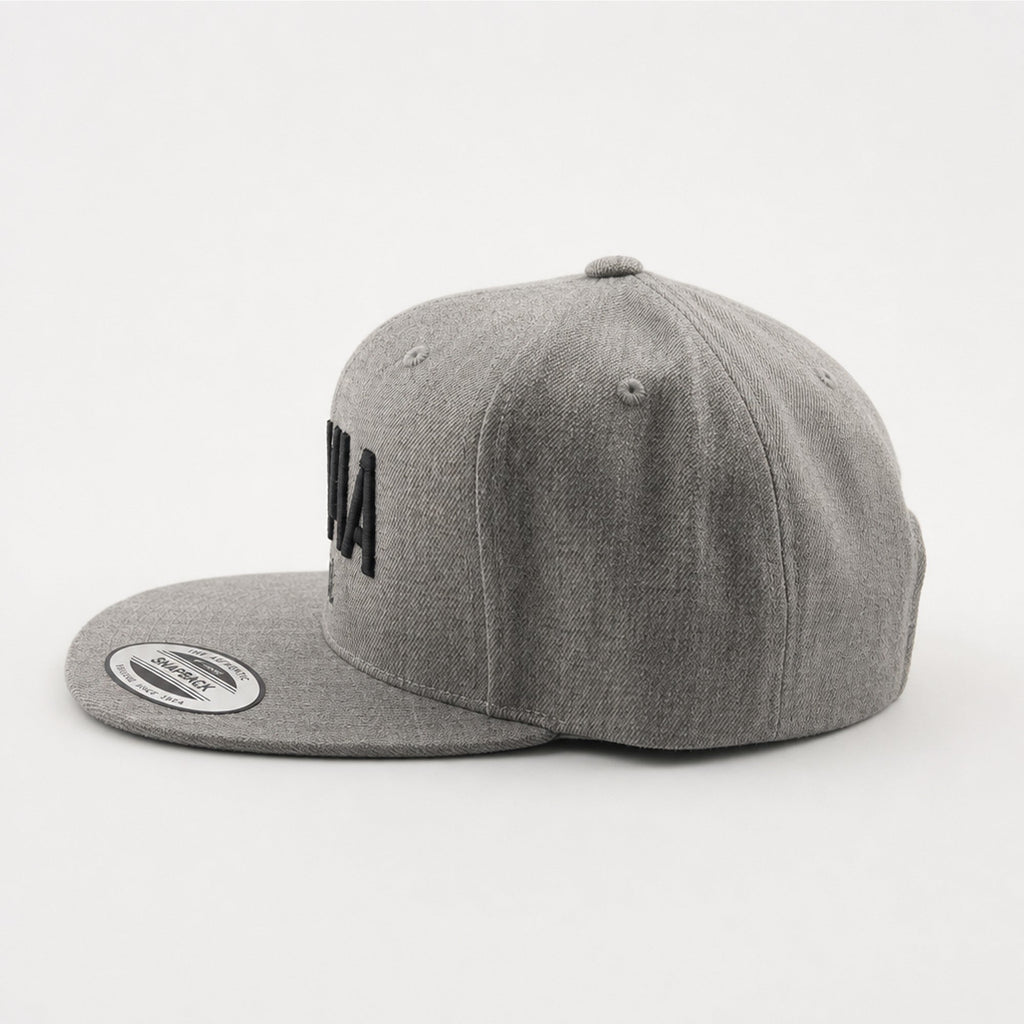 3D Standard Mens Snapback Hat