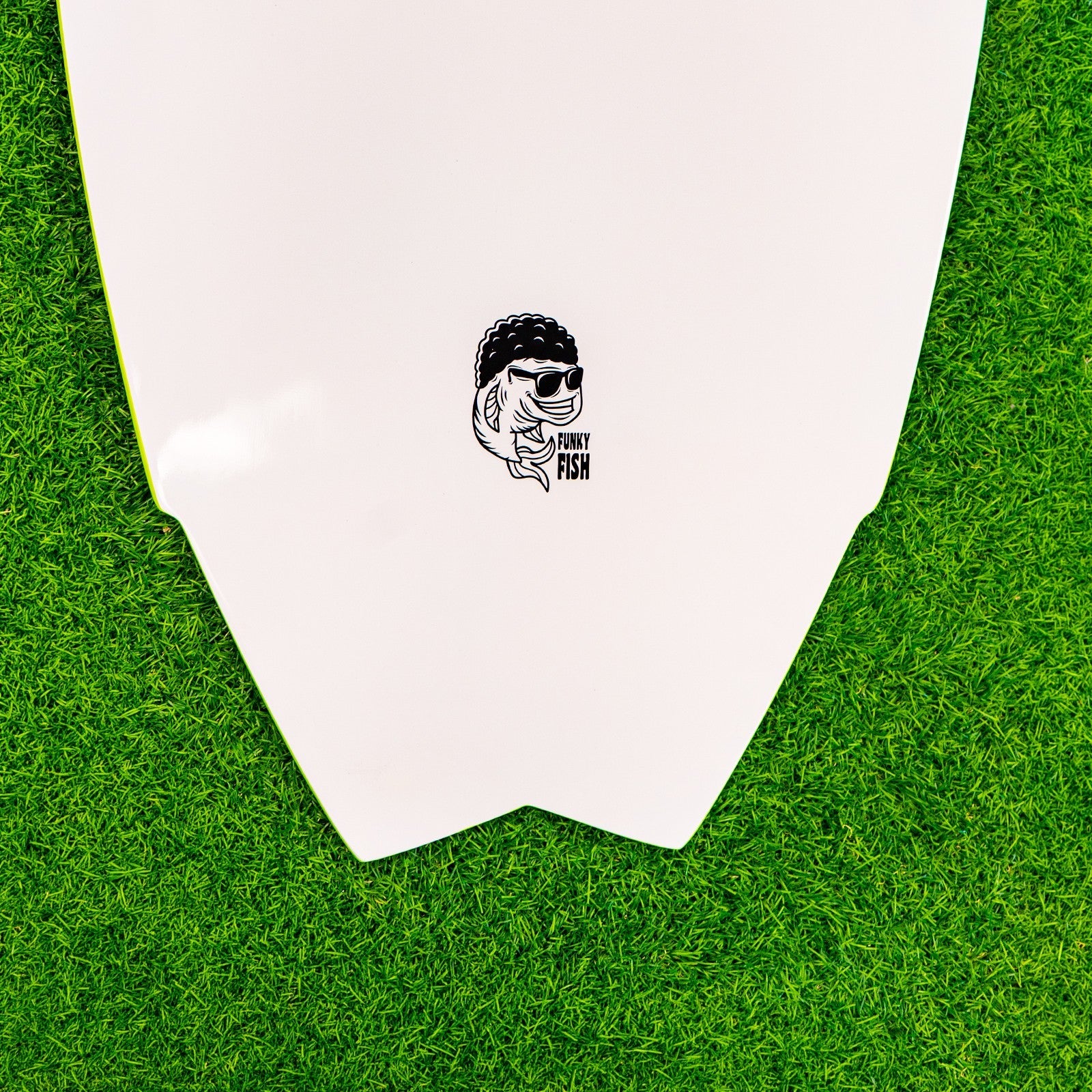 Funky Fish Skimboard